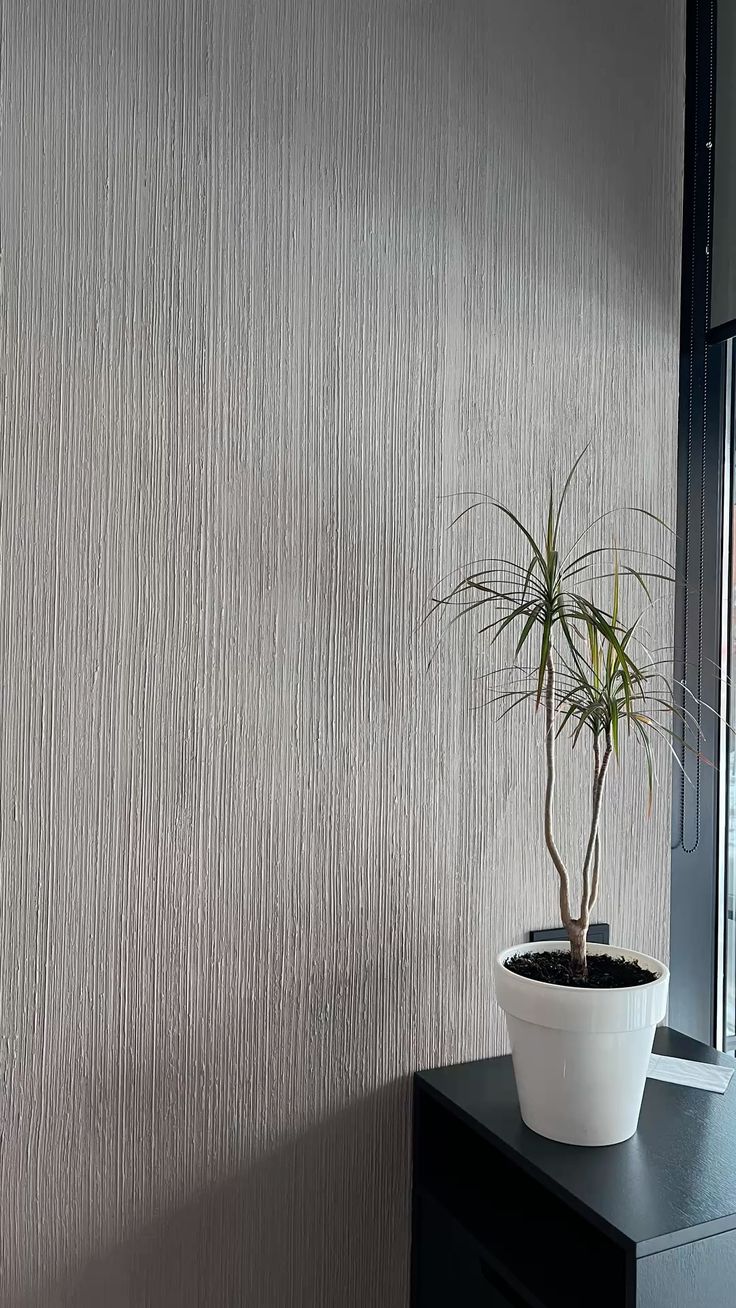 Decorative finishes — textured wall